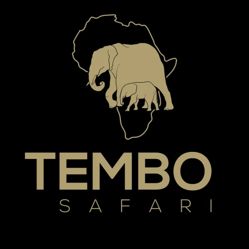 Tembo Safari